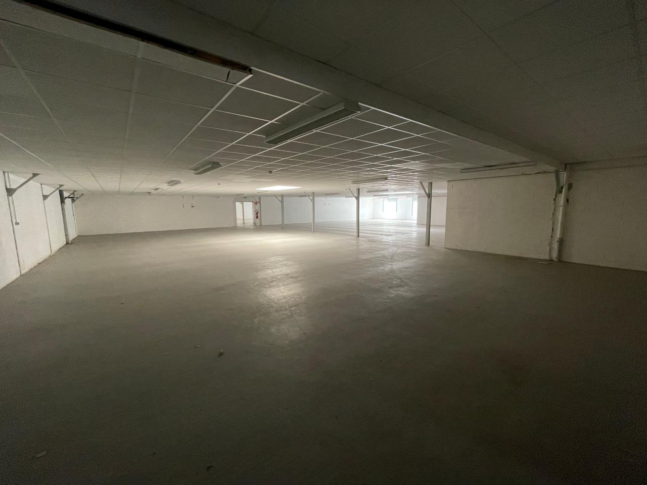Local d'activité Essey-lès-Nancy 1525m² Location local d'activité Essey-lès-Nancy Meurthe-et-Moselle OLACT2424209 8